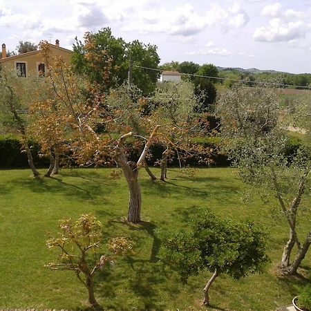 Il Punto Verde SantʼAntonio Exteriér fotografie