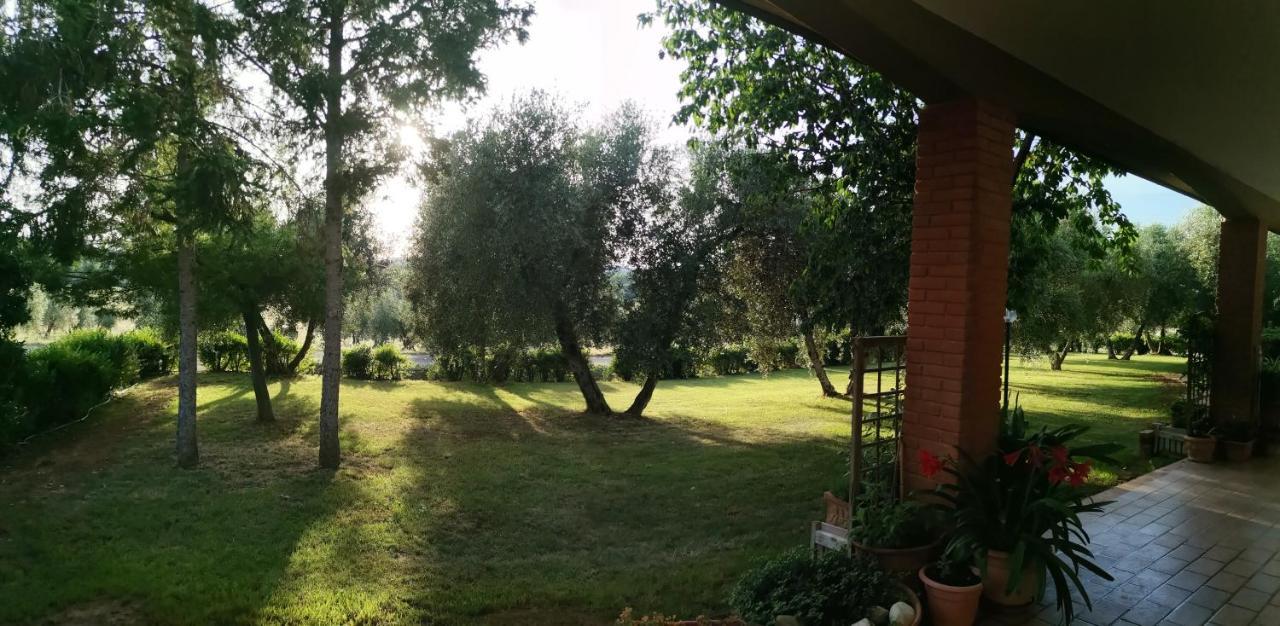 Il Punto Verde SantʼAntonio Exteriér fotografie