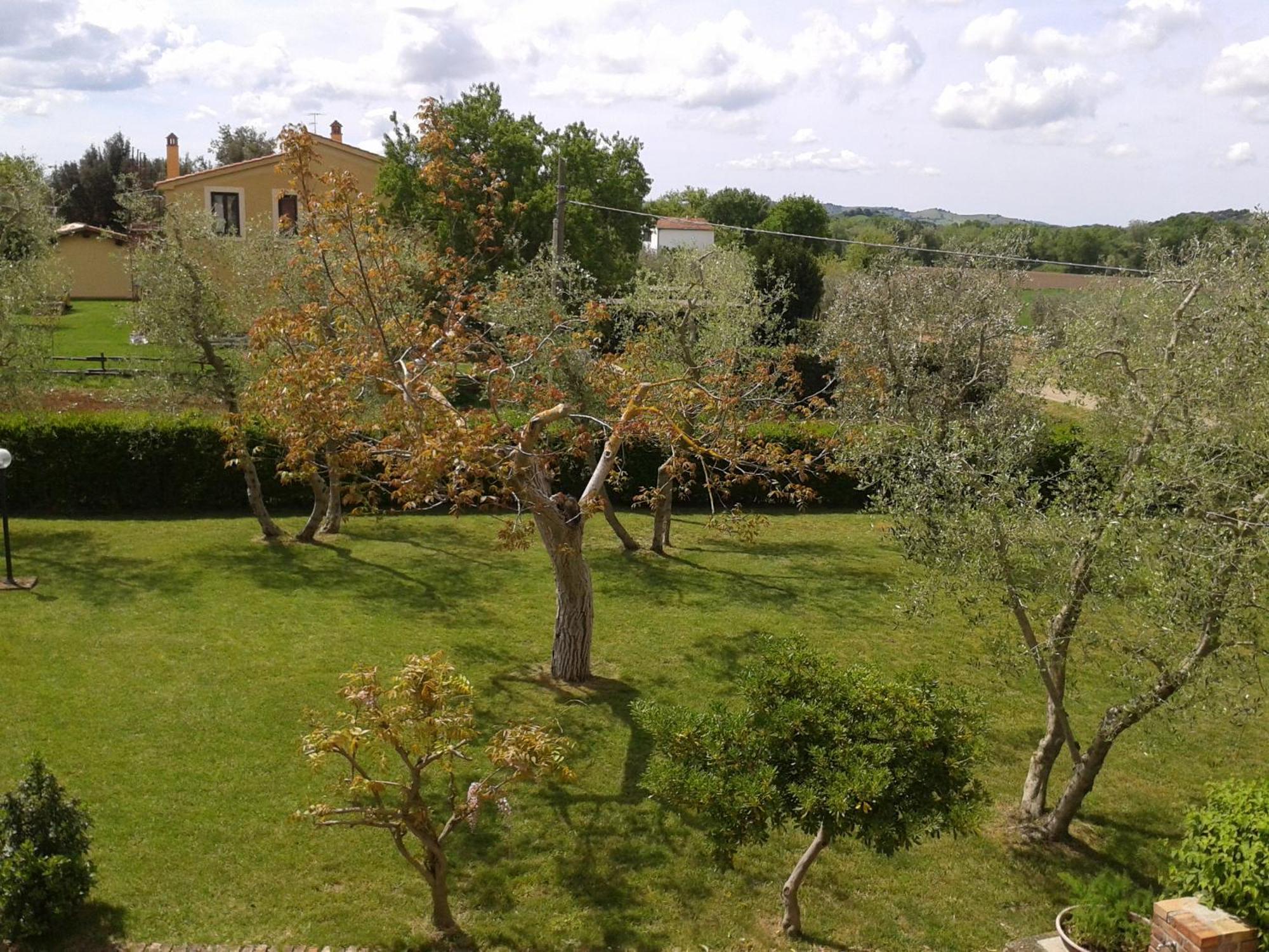 Il Punto Verde SantʼAntonio Exteriér fotografie