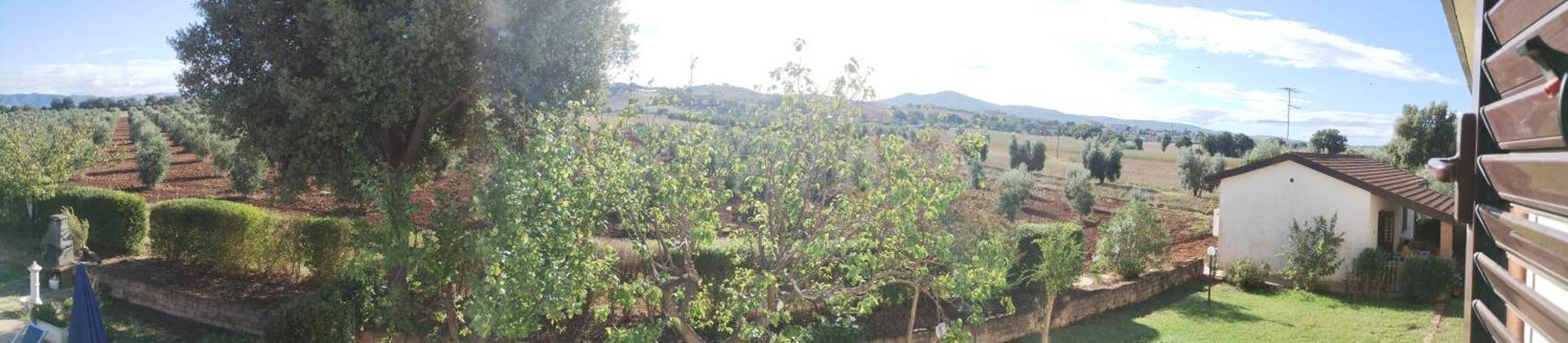 Il Punto Verde SantʼAntonio Exteriér fotografie