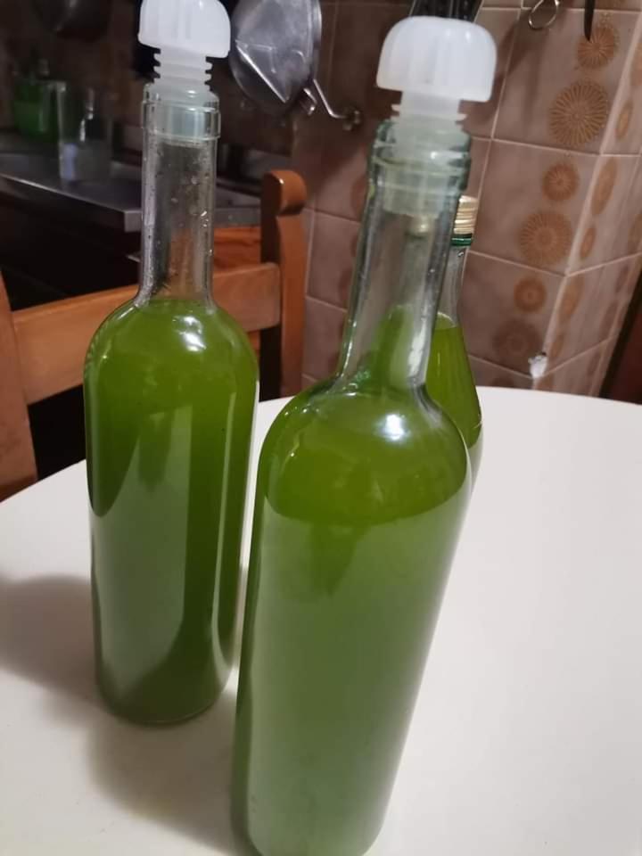 Il Punto Verde SantʼAntonio Exteriér fotografie
