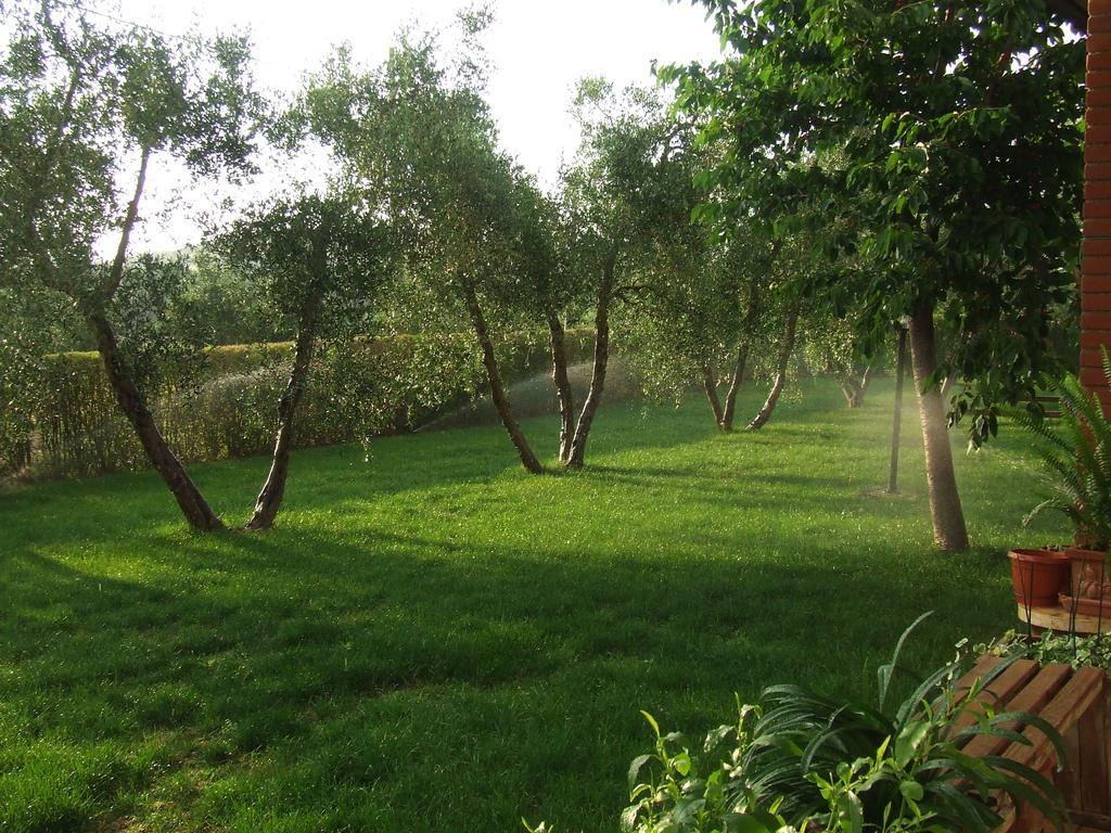 Il Punto Verde SantʼAntonio Exteriér fotografie